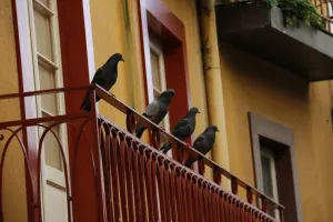 Kto powinien zaiwestować w gadżety reklamowe dla dzieci?